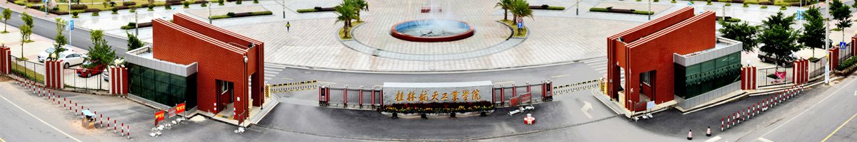 个人简历: